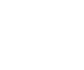logo design bl